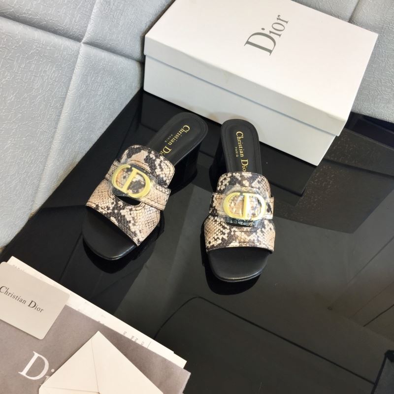 Christian Dior Slippers